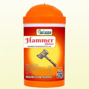 HAMMER