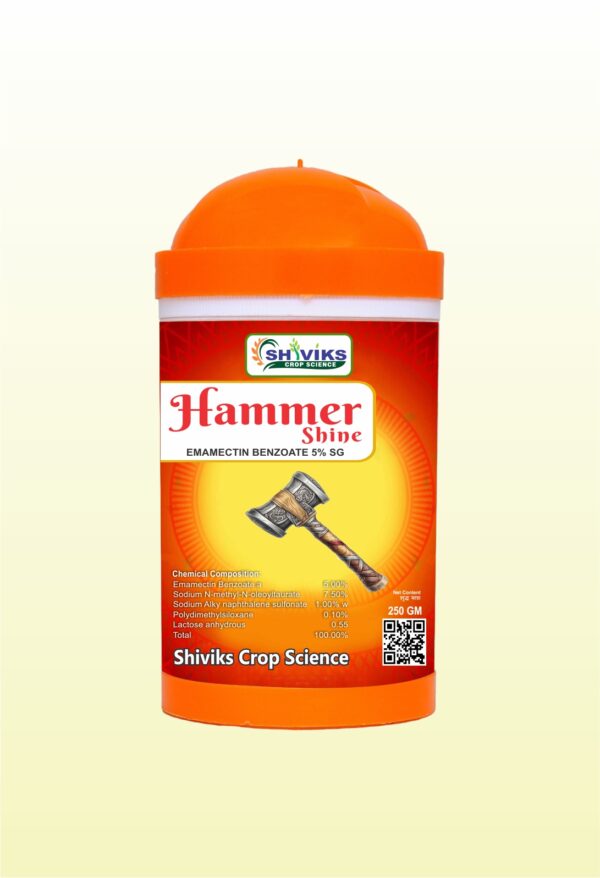 HAMMER