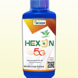 HEXON-5G