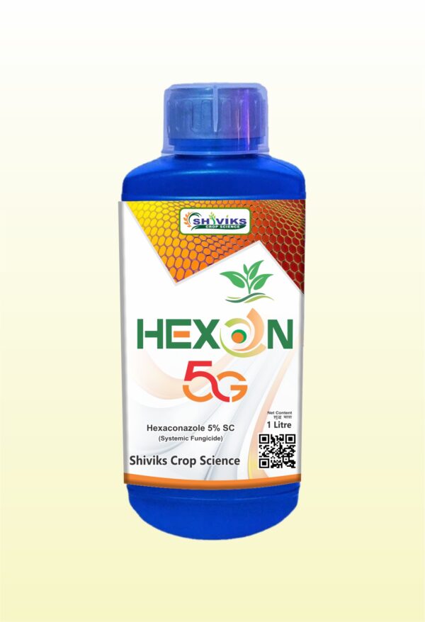 HEXON-5G