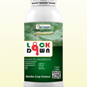 LOCKDOWN