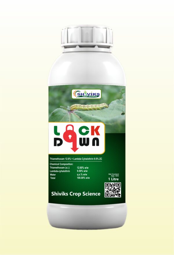 LOCKDOWN