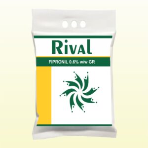 RIVAL