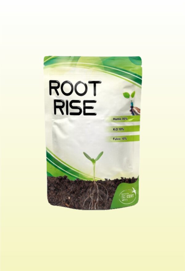 ROOT RISE