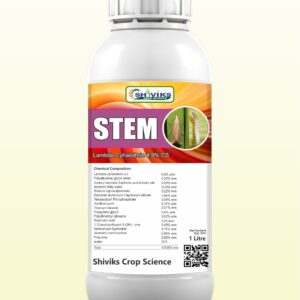 STEM