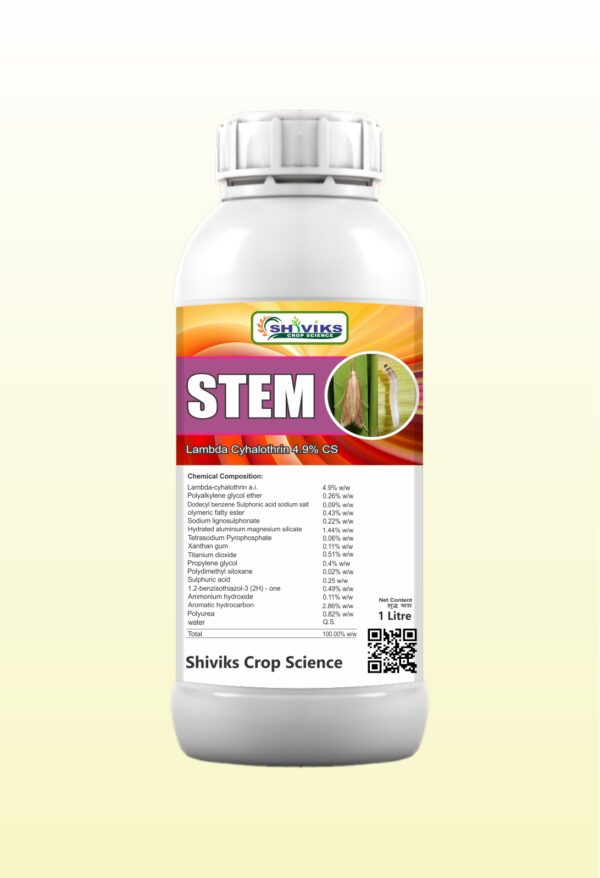 STEM