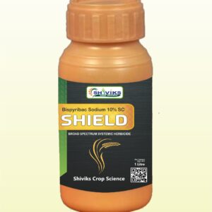 SHIELD