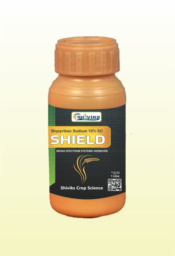 SHIELD