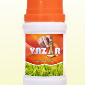VAZIR