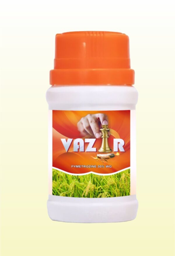 VAZIR